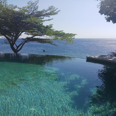 Amed Santorini Villa エクステリア 写真